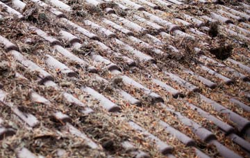 Monktonhall roof cleaning companies